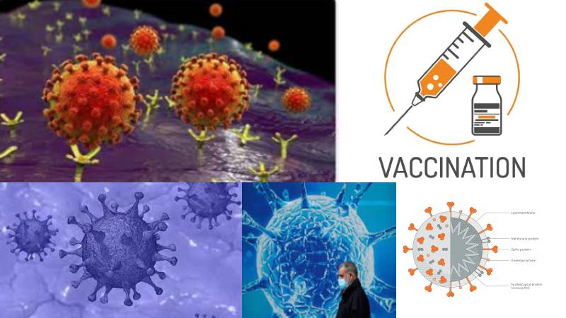 COVID subvariant JN1 sparks concerns