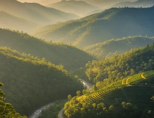 A Soulful Guide to Koraput, Odisha’s Best-Kept Secret